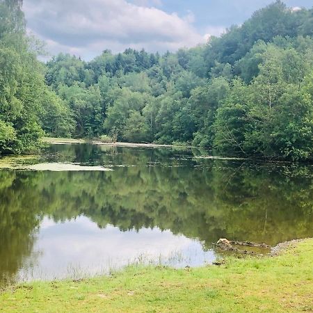 Апартаменти Gemuetliche Fewo Naehe Hachenburg, Bad Marienberg Langenbach bei Kirburg Екстер'єр фото